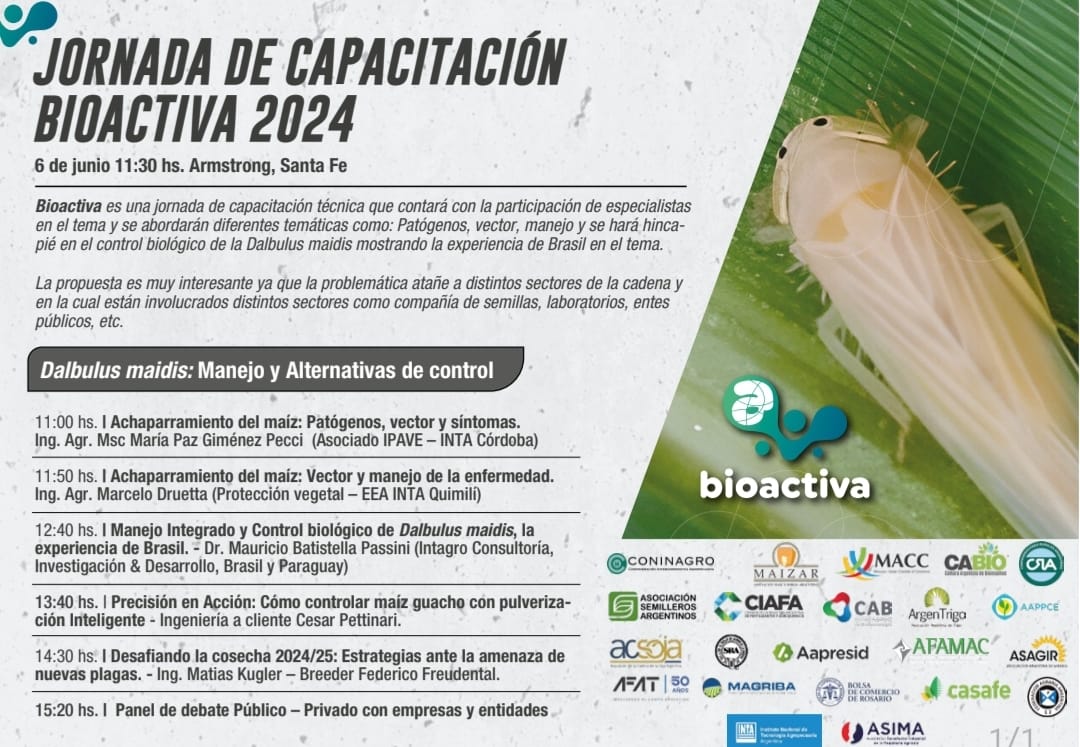 AgroActiva propone un encuentro tÃ©cnico para enfrentar el problema de Â“La ChicharritaÂ”